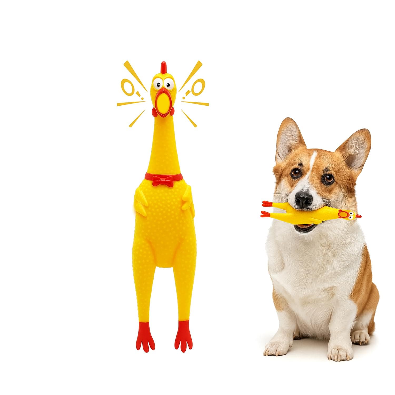 Petbabas Squeaky Rubber Chicken Dog Toy | Durable Funny Interactive Chew Toy | Loud Squeaky Sound and Stress Relief for Dogs and Puppies | Training Teething Toy | Non Toxic | Prank Noise Maker Online at Low Prices in India